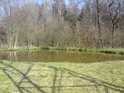 Malý rybníček v Lípě nad Orlicí, napájený z Alby, domov páru divokých kachen