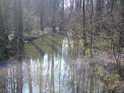 I v lesních úsecích je možné vidět hodný kus toku Alby
