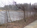 Rybník v Houkvici je vlastně lesní, ale je podobný těm v daleko větší rybníkářské oblasti kolem Bohdanče